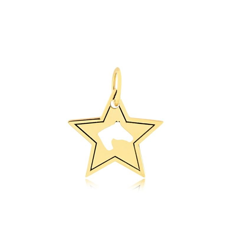 Pingente Estrela Desi em Ouro